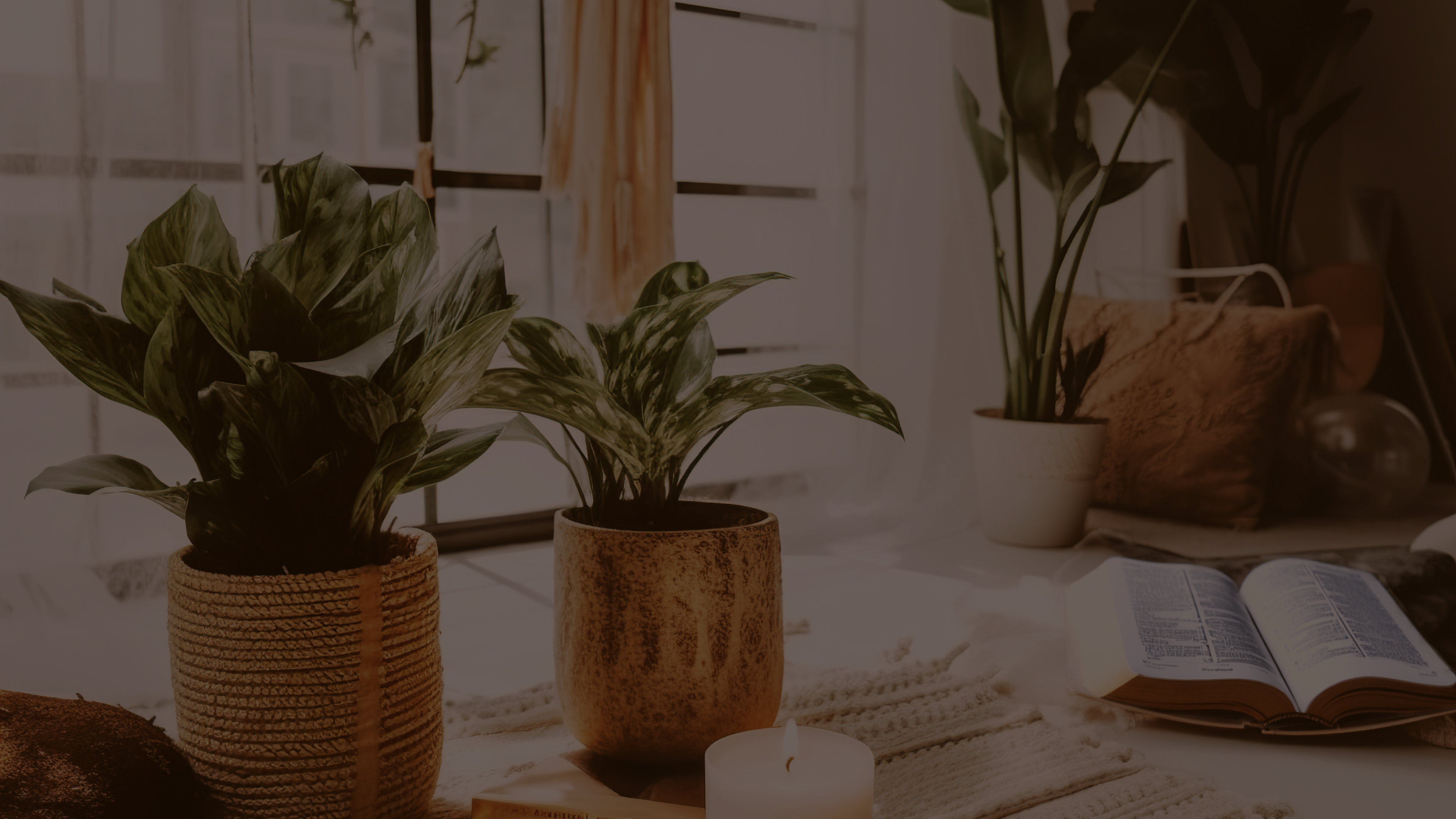 Anointé: The Beginning of a Return