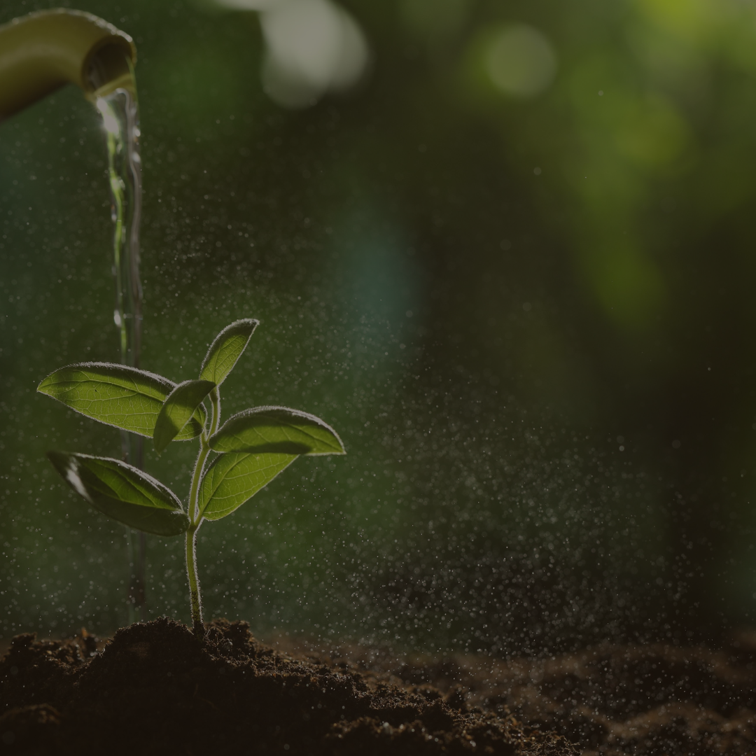 Prayer For The Soil Of The Garden