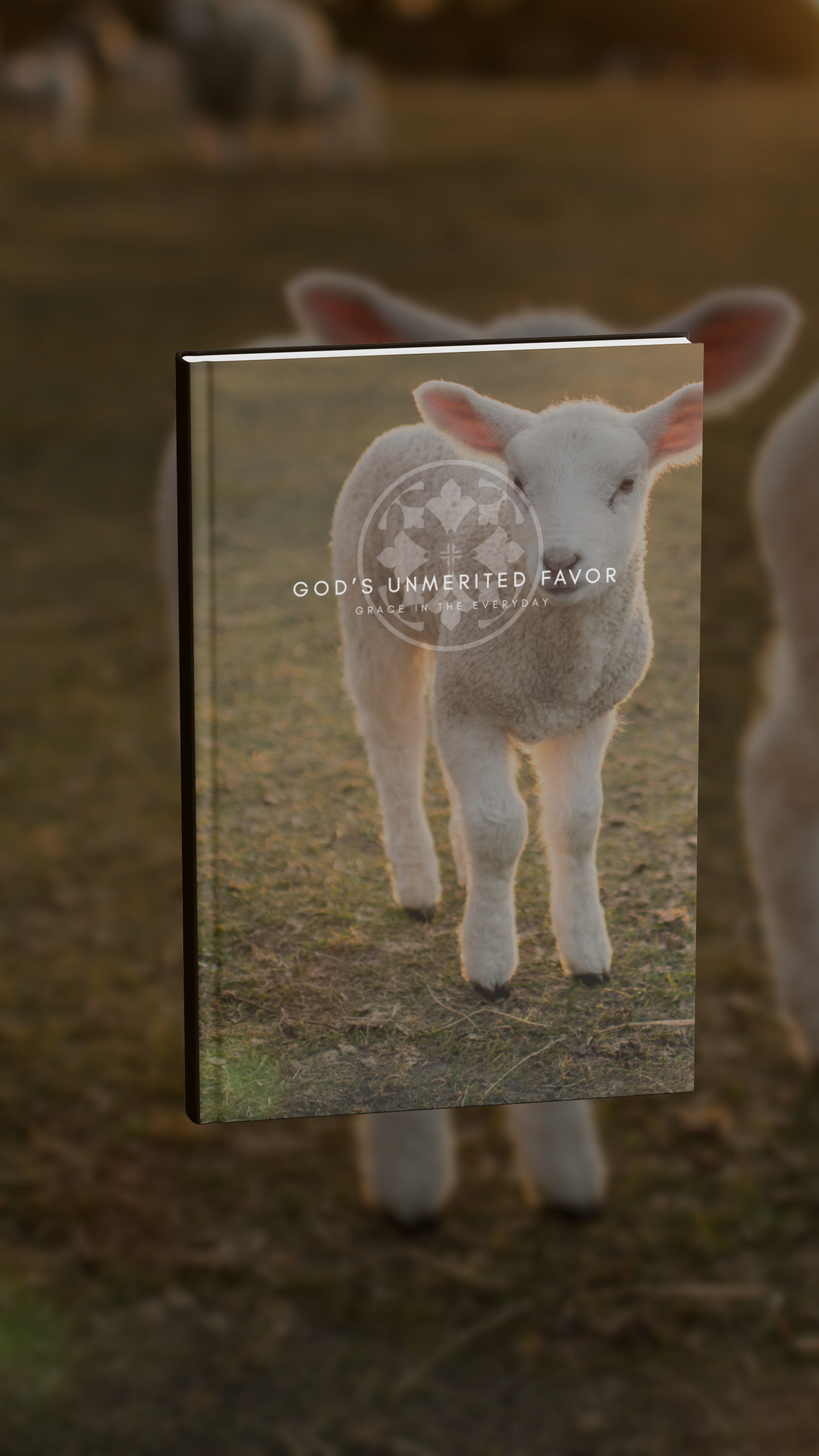 Grace In The Everyday